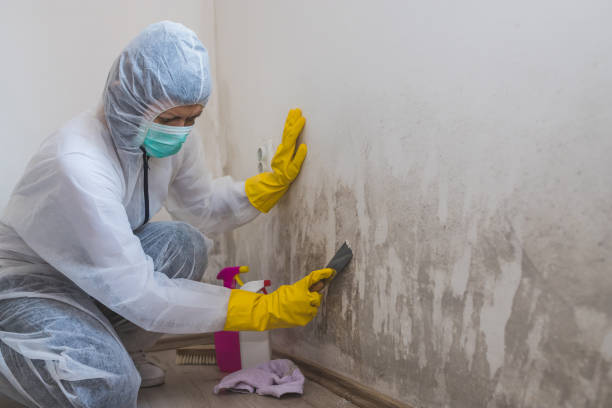 Best Biohazard Mold Removal  in Tuckerton, NJ