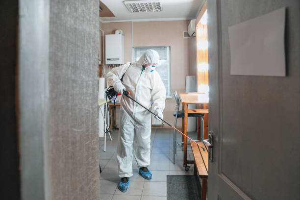 Best Basement Mold Removal  in Tuckerton, NJ