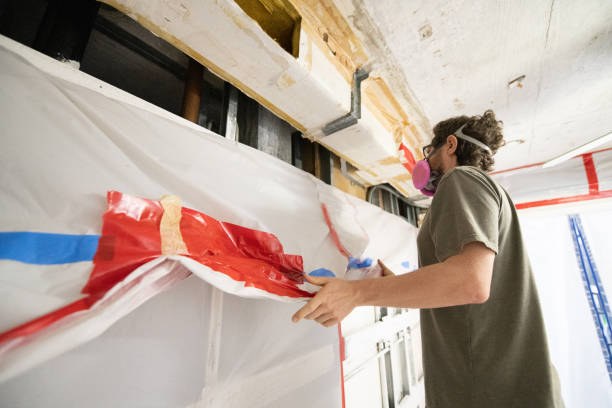 Best Black Mold Removal  in Tuckerton, NJ
