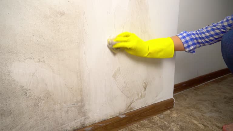 Best Air Quality Testing for Mold Spores  in Tuckerton, NJ