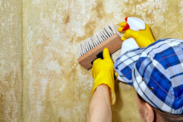 Best Dehumidification Services  in Tuckerton, NJ