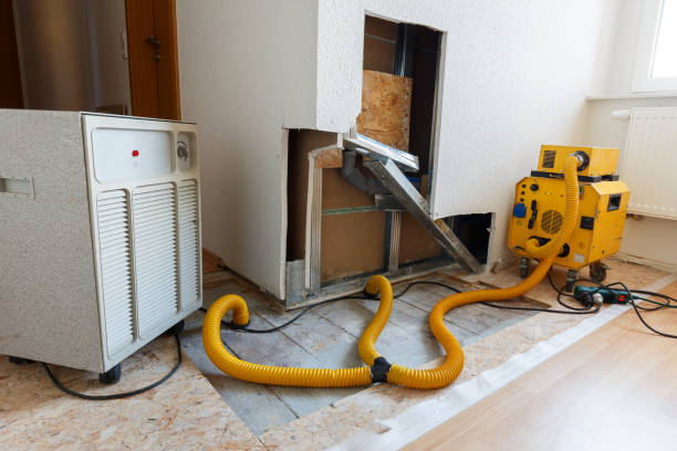 Best Mold Remediation for Healthcare Facilities  in Tuckerton, NJ